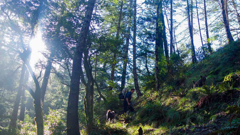 Illustration for article titled Adventure: California's Lost Coast
